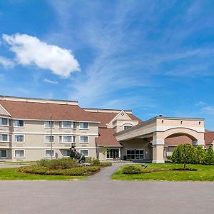 Black Bear Inn, Ascend Hotel Collection